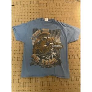 Men’s HARLEY DAVIDSON Pig Trail Arkansas Blue T-shirt Sz L